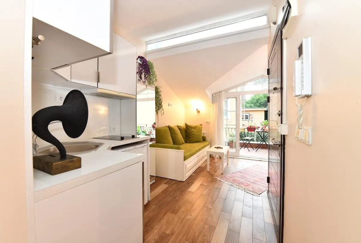 Private Terrace Ac Bright Flat Galata Apartamento Istambul Turquia